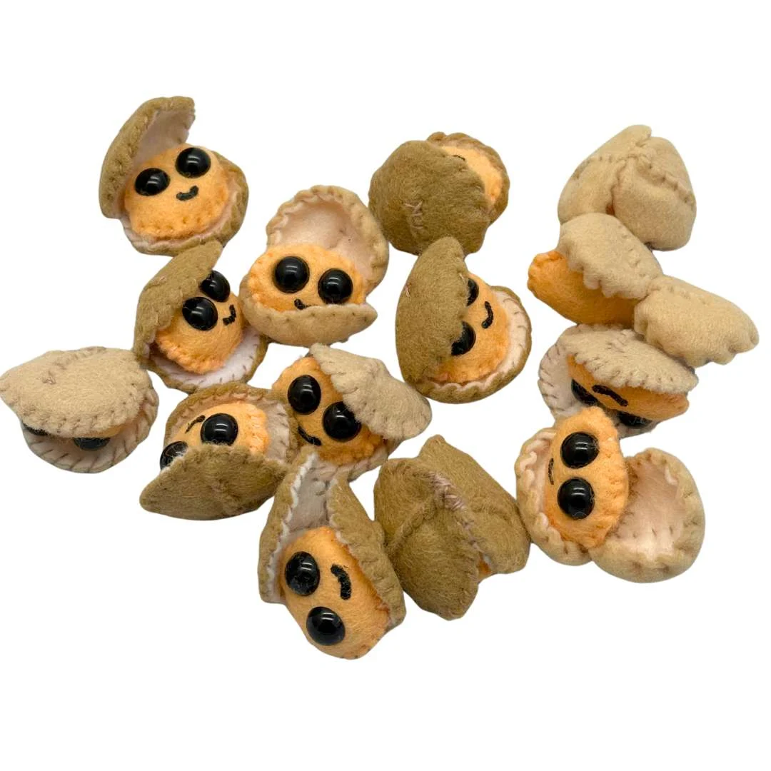 Small Clam - Image 2