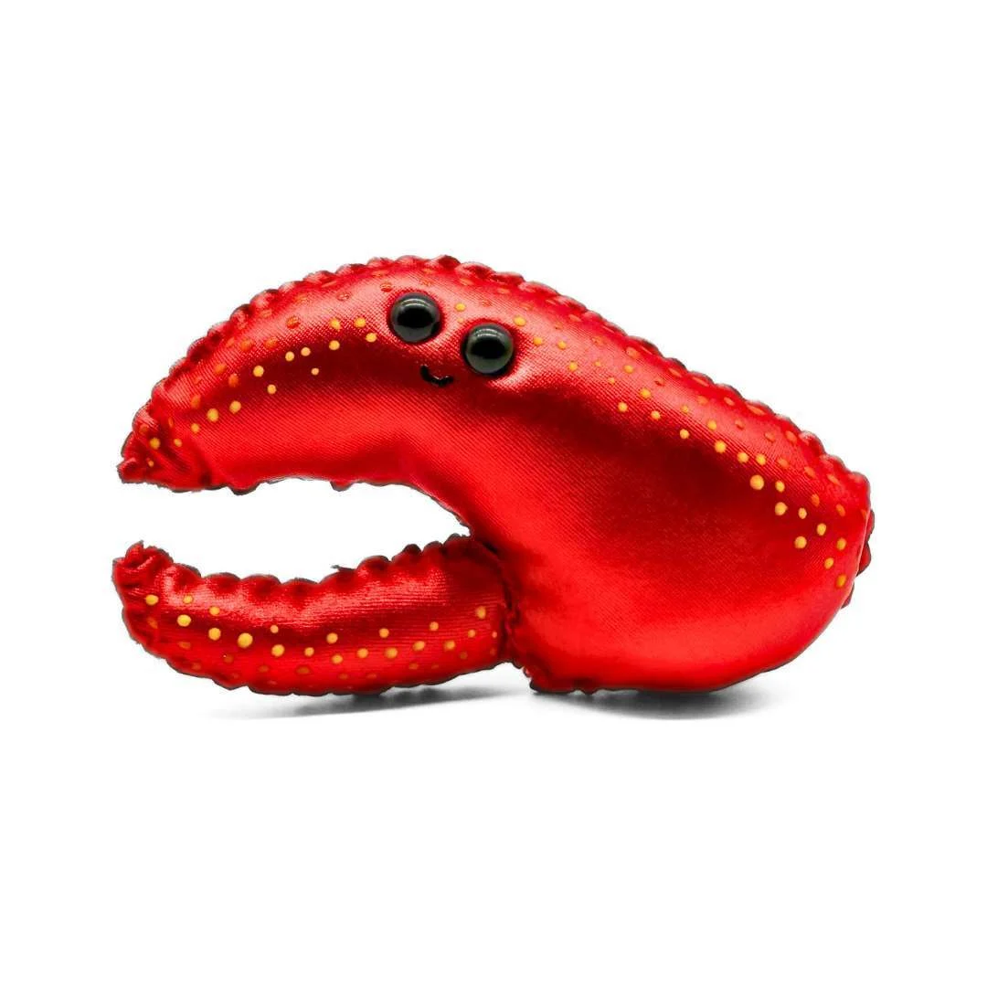 Lobster Claw